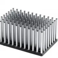 Thermo Scientific