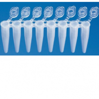 Hotstart Micro 20 Strip 0.2 Ml 8-tube Strips