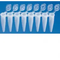Hotstart Micro 20 Strip 0.2 Ml 8-tube Strips