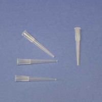 Molecular BioProducts