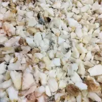 Nylon 66 Purge Natural Color