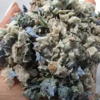 LDPE Mix Color Regrind