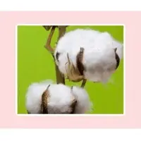 Cotton MCU 5 1 1/4