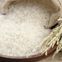 White Rice