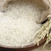 White Rice