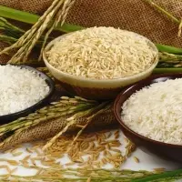 Jasmine Rice