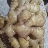 Ginger