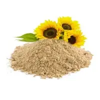 Sunflower NON GMO
