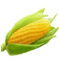 Corn