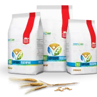 Wheat Flour