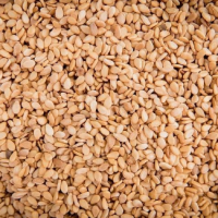 Whitish Sesame Seed