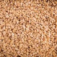 Whitish Sesame Seed