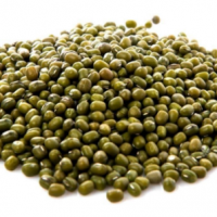 Green Mung