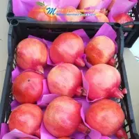 Pomegranate