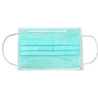 3Ply Face Mask