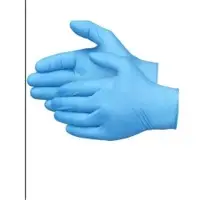 Nitrite Glove Latex Free