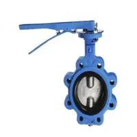 Intervalve Rubber Lined Butterfly Valve