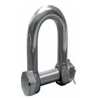 Lifting Shackles