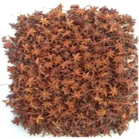 Whole Star Anise Seeds