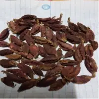 Black Cardamom