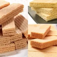 Wafer