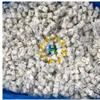 IQF White Dragon Fruit