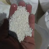 Limestone