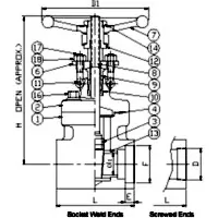 Forged steel gate valves - class 800