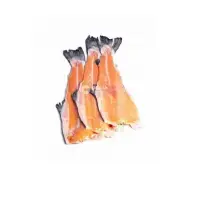Salmon Carcass