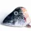 Salmon Heads
