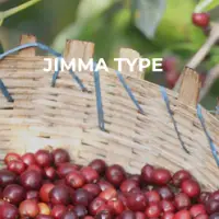 Ethiopian Jimma Coffee Grade 4