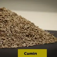 Cumin Seeds