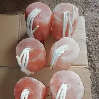 Animal Licking Salt