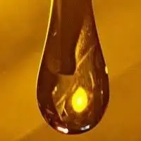 Petrol Engine Oils