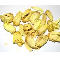 Dried Nymphaea Rubra Flower