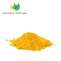 Dried Turmeric ( Curcuma Longa ) Powder