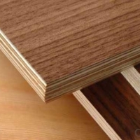 Melamine Faced Plywood