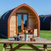 Plywood Tiny House - Environmental Friendliness