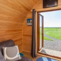Plywood Tiny House - Plywood Tiny House 40m2