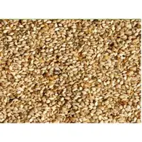 Bulk Sesame Seeds