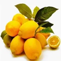 Lemon Juice Concentrates