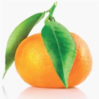 Mandarin Juice Concentrates
