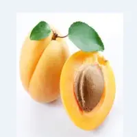Apricot