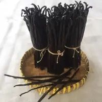 Vanilla Tahitensis