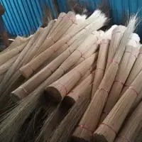 Broomstrick Nipah