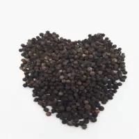 Pepper