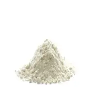 Xanthan Gum