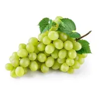 Grapes