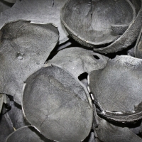 Coconut Shell Charcoal