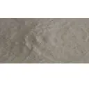 Modified Starch ( Pyra M Star)